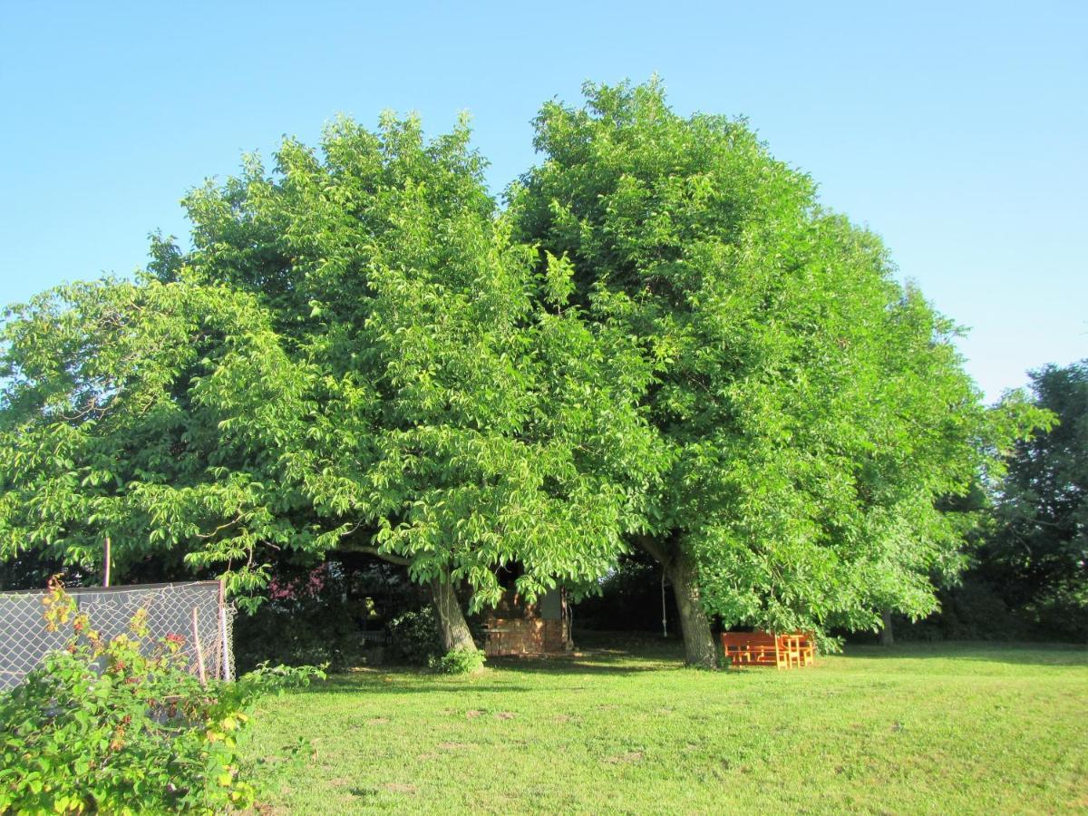 לינה וארוחת בוקר פוסטוינה Pod Orehi מראה חיצוני תמונה